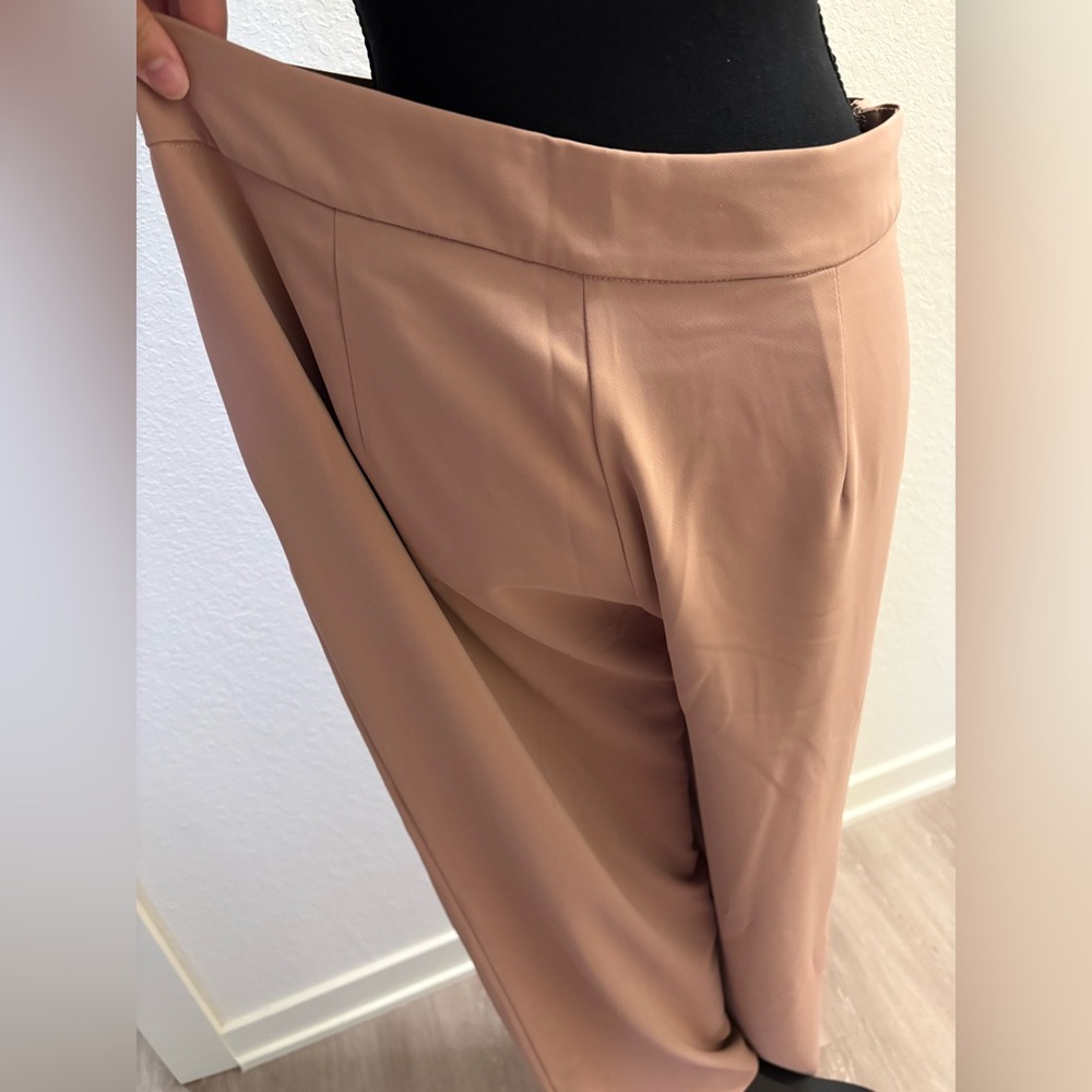 Veiled Collection Pinky Nude Dress Pants - Picture 4 of 5